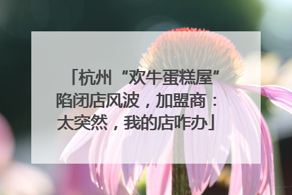 杭州“欢牛蛋糕屋”陷闭店风波，加盟商：太突然，我的店咋办