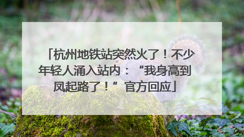 杭州地铁站突然火了！不少年轻人涌入站内：“我身高到凤起路了！”官方回应