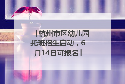 杭州市区幼儿园托班招生启动，6月14日可报名