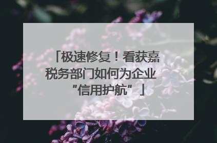 极速修复！看获嘉税务部门如何为企业“信用护航”