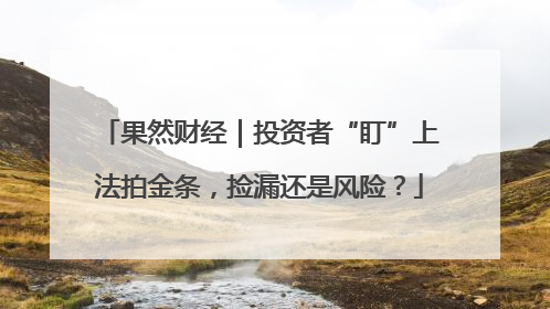 果然财经｜投资者“盯”上法拍金条，捡漏还是风险？