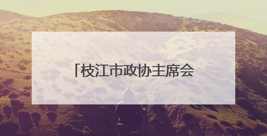 枝江市政协主席会议成员视察电力保障能力建设情况