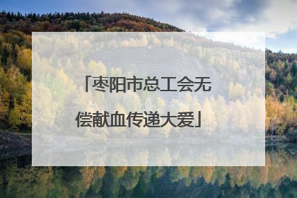 枣阳市总工会无偿献血传递大爱