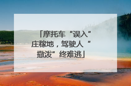摩托车“误入”庄稼地，驾驶人“撒泼”终难逃
