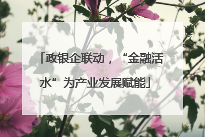 政银企联动，“金融活水”为产业发展赋能