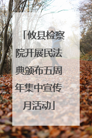 攸县检察院开展民法典颁布五周年集中宣传月活动