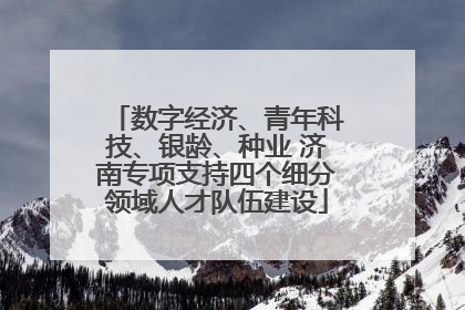 数字经济、青年科技、银龄、种业 济南专项支持四个细分领域人才队伍建设