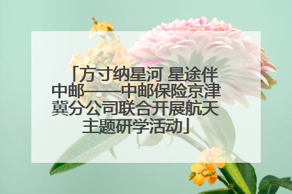方寸纳星河 星途伴中邮——中邮保险京津冀分公司联合开展航天主题研学活动