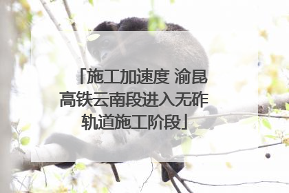 施工加速度 渝昆高铁云南段进入无砟轨道施工阶段