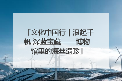 文化中国行｜浪起千帆 深蓝宝藏——博物馆里的海丝遗珍