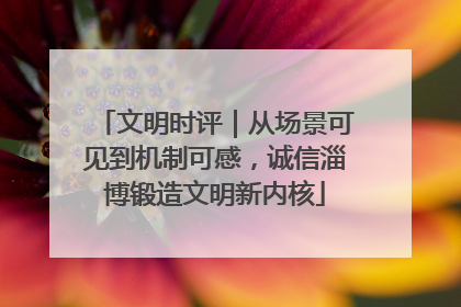 文明时评｜从场景可见到机制可感，诚信淄博锻造文明新内核