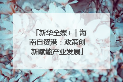新华全媒+｜海南自贸港：政策创新赋能产业发展