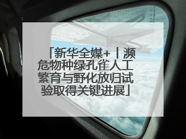 新华全媒+丨濒危物种绿孔雀人工繁育与野化放归试验取得关键进展
