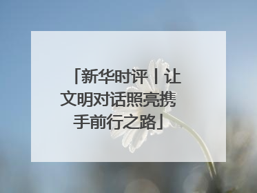 新华时评丨让文明对话照亮携手前行之路