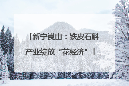 新宁崀山：铁皮石斛产业绽放“花经济”