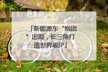 新能源车“抱团”出海，长三角打造世界级IP