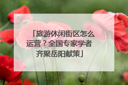 旅游休闲街区怎么运营？全国专家学者齐聚岳阳献策