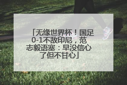 无缘世界杯！国足0-1不敌印尼，范志毅语塞：早没信心了但不甘心