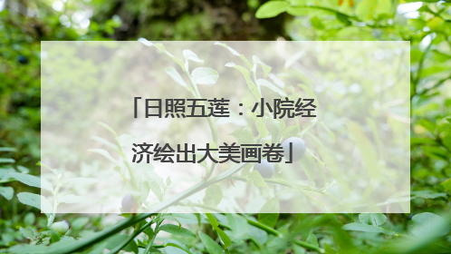 日照五莲：小院经济绘出大美画卷