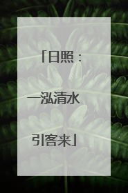 日照：一泓清水引客来