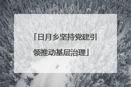 日月乡坚持党建引领推动基层治理