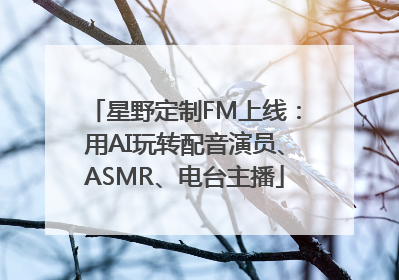 星野定制FM上线：用AI玩转配音演员、ASMR、电台主播