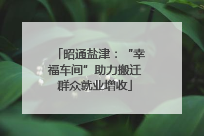 昭通盐津：“幸福车间”助力搬迁群众就业增收