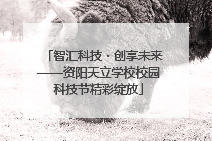 智汇科技・创享未来——资阳天立学校校园科技节精彩绽放