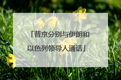 普京分别与伊朗和以色列领导人通话