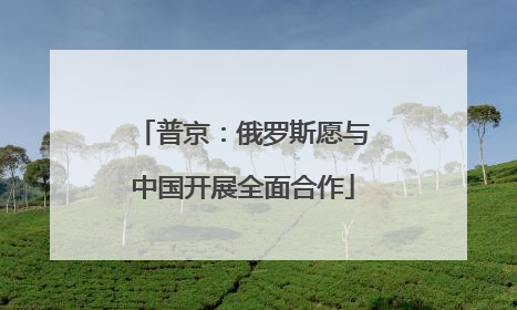 普京：俄罗斯愿与中国开展全面合作