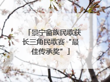 景宁畲族民歌获长三角民歌赛“最佳传承奖”
