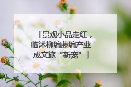 景观小品走红，临沭柳编藤编产业成文旅“新宠”