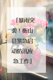 暴雨突袭！衡山县紧急启动防汛应急工作