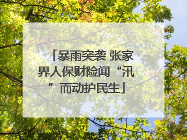 暴雨突袭 张家界人保财险闻“汛”而动护民生