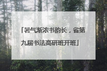暑气渐浓书韵长，省第九届书法高研班开班