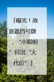 曝光！故意遮挡号牌，“小聪明”付出“大代价”