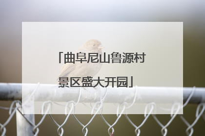 曲阜尼山鲁源村景区盛大开园
