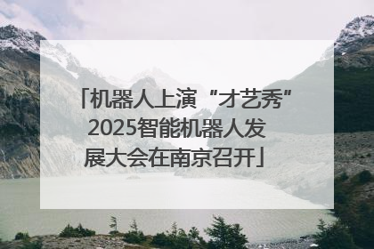 机器人上演“才艺秀” 2025智能机器人发展大会在南京召开