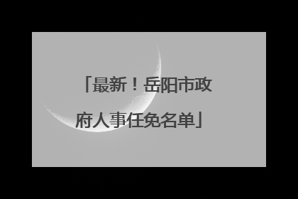 最新！岳阳市政府人事任免名单