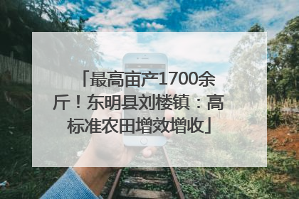 最高亩产1700余斤！东明县刘楼镇：高标准农田增效增收