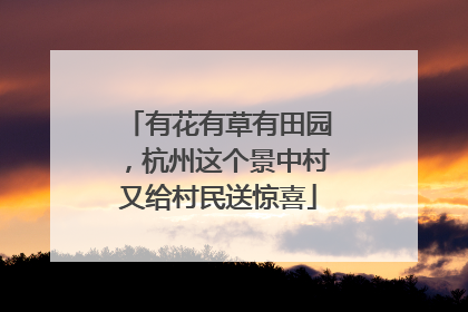 有花有草有田园，杭州这个景中村又给村民送惊喜