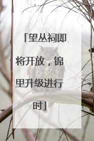 望丛祠即将开放，锦里升级进行时