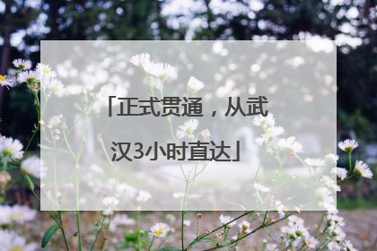 正式贯通，从武汉3小时直达