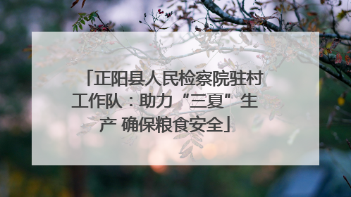 正阳县人民检察院驻村工作队：助力“三夏”生产 确保粮食安全