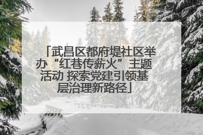 武昌区都府堤社区举办“红巷传薪火”主题活动 探索党建引领基层治理新路径