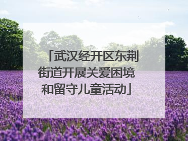 武汉经开区东荆街道开展关爱困境和留守儿童活动