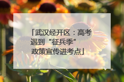 武汉经开区：高考遇到“征兵季”  政策宣传进考点