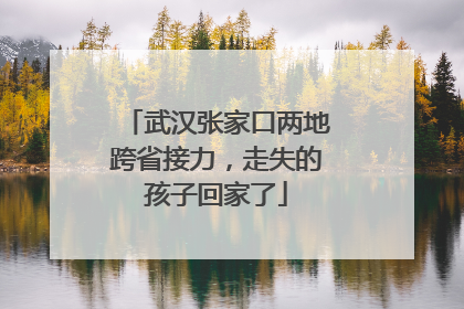 武汉张家口两地跨省接力，走失的孩子回家了
