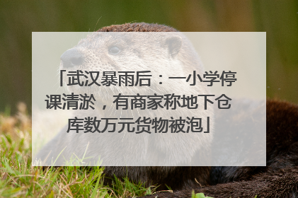 武汉暴雨后：一小学停课清淤，有商家称地下仓库数万元货物被泡