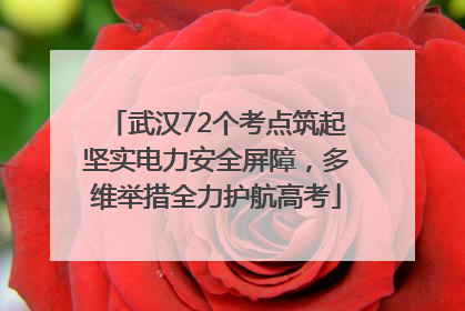 武汉72个考点筑起坚实电力安全屏障，多维举措全力护航高考